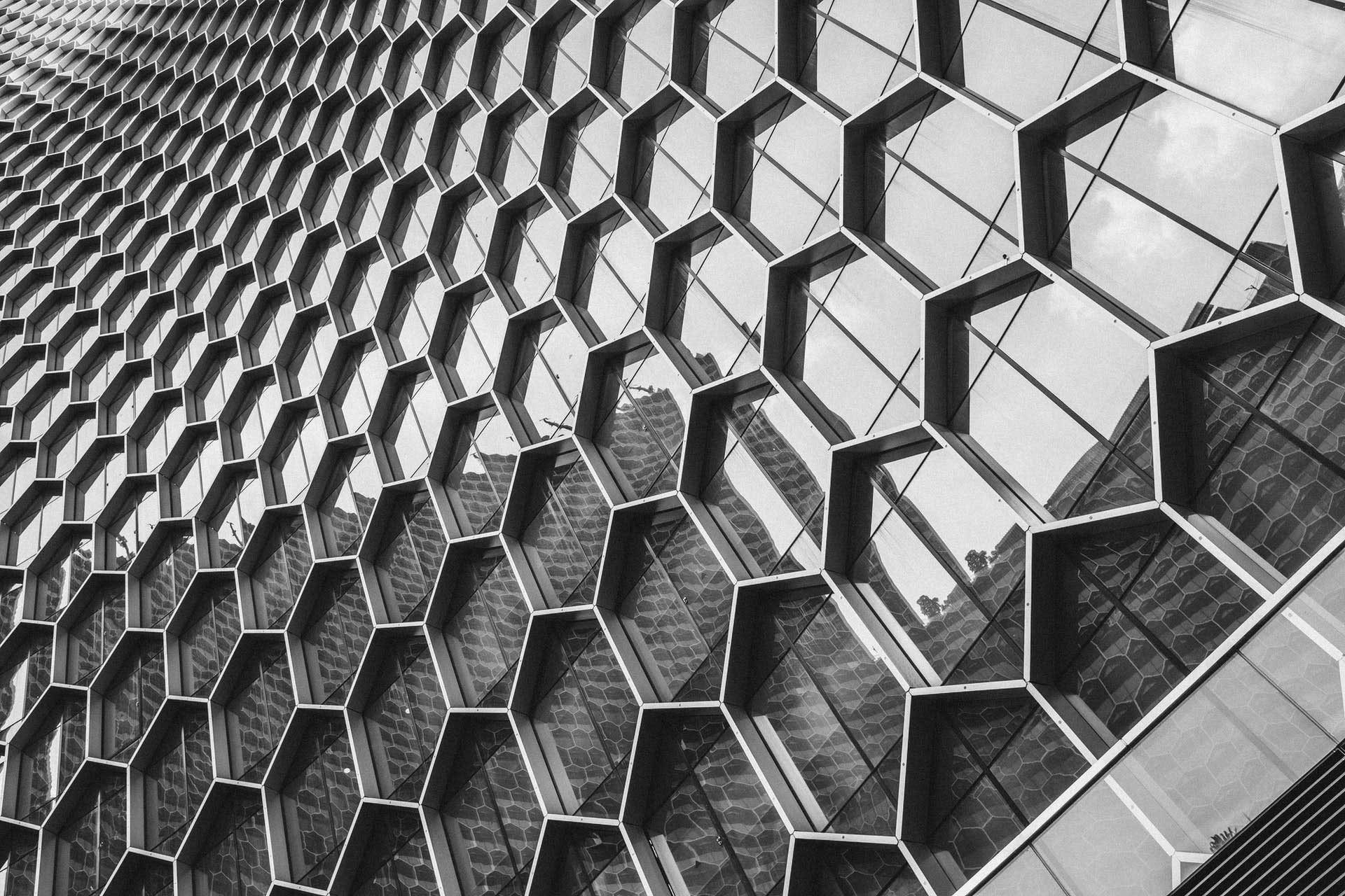 Ubicua Bienal de Artes Vivas y Tecnología México